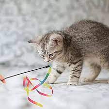Brinquedos para Gatos em Apartamentos