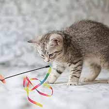 Brinquedos para Gatos que vivem em apartamentos